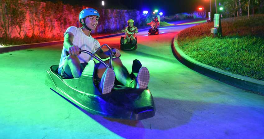 Luge & Sky ride night